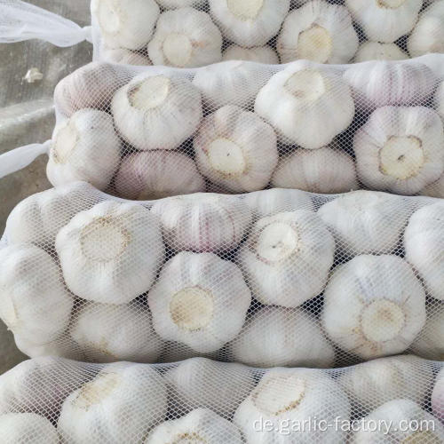 Jin Xiang New Crop Knoblauch Preis Hot Sales